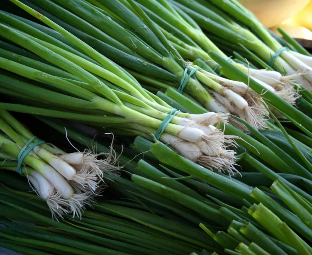 Scallions and private chefs